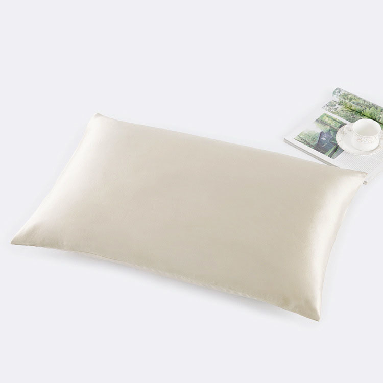 30MM 51x76cm Mulberry Silk Pla - Silk Pillowcase Set ulasan dan harga